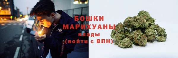 стаф Ступино