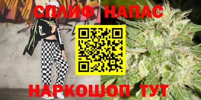 твердый Гусев