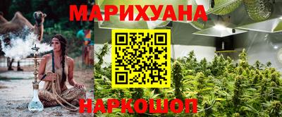 твердый Гусев