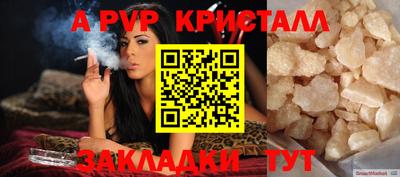 твердый Гусев