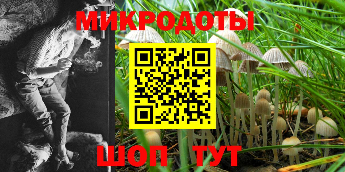 Краснодар  Галлюциногенные грибы прущие грибы  Вход с VPN  Галлюциногенные грибы прущие грибы 