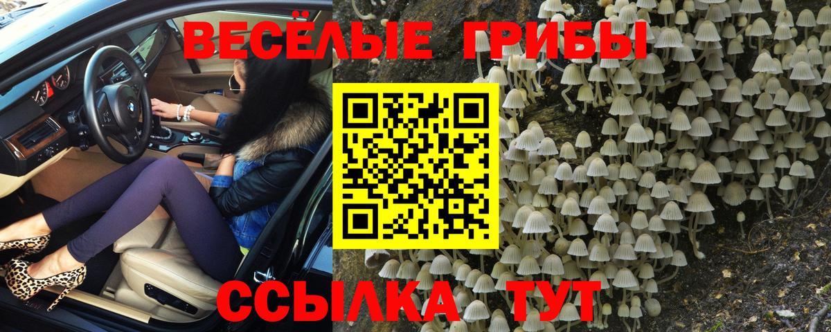 Псилоцибиновые грибы мухоморы  купить наркоту  Галлюциногенные грибы прущие грибы  Краснодар 