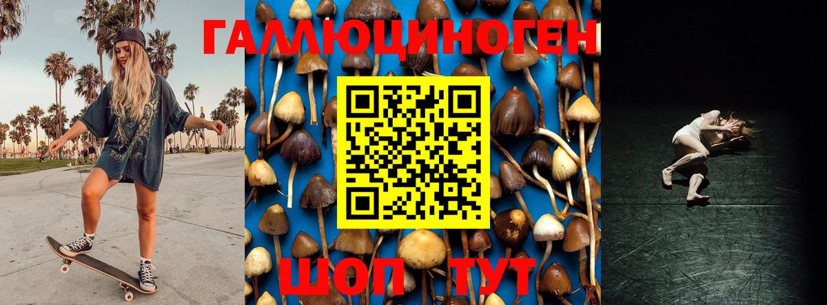 Псилоцибиновые грибы GOLDEN TEACHER Краснодар